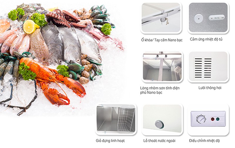 Tủ đông Kangaroo 1400 lít KG1400A1