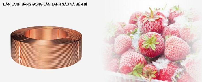 Tủ đông Sanaky VH-5699W1 365 lít