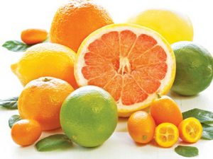 Các loại trái cây họ cam quýt