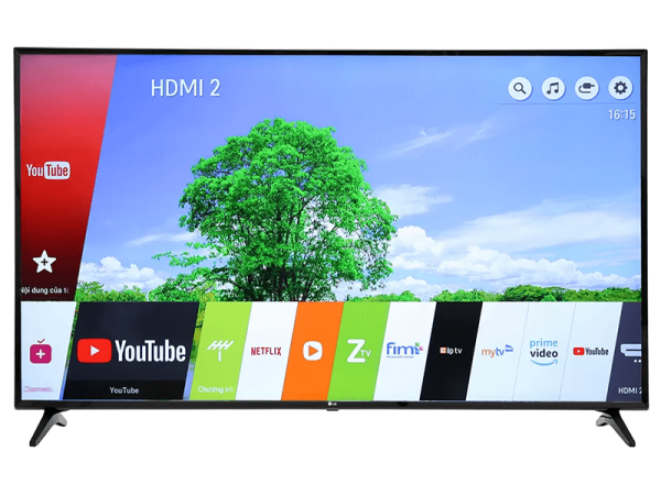 Smart Tivi LG 65UK6100PTA 4K 65 inch