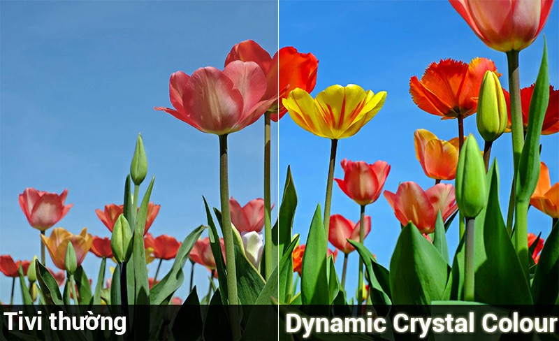 Dynamic Crystal Colour