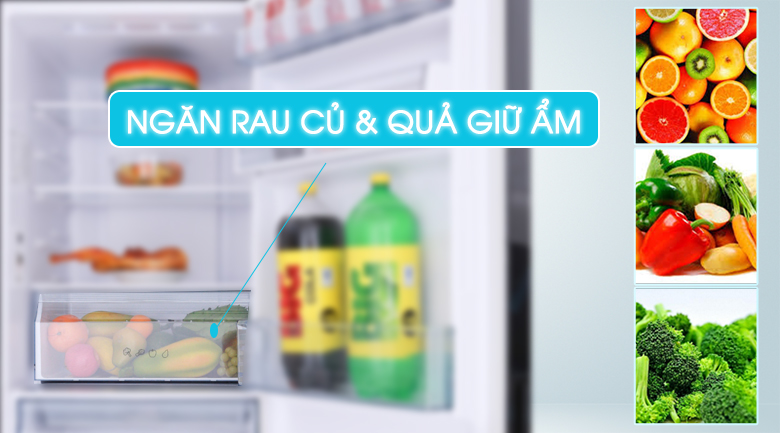5 lý do nên mua tủ lạnh ngăn đá dưới Aqua 2019 5