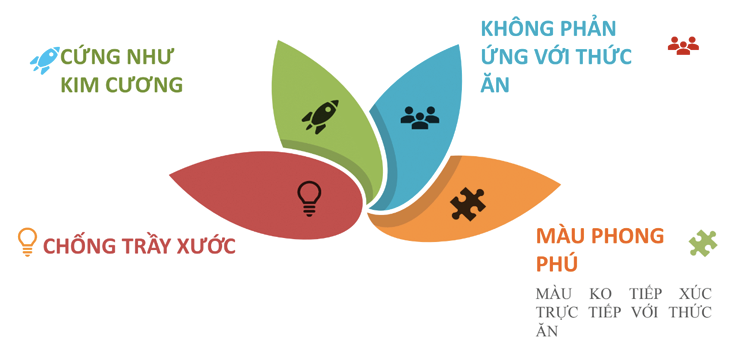 Ưu điểm Nồi nhôm anod