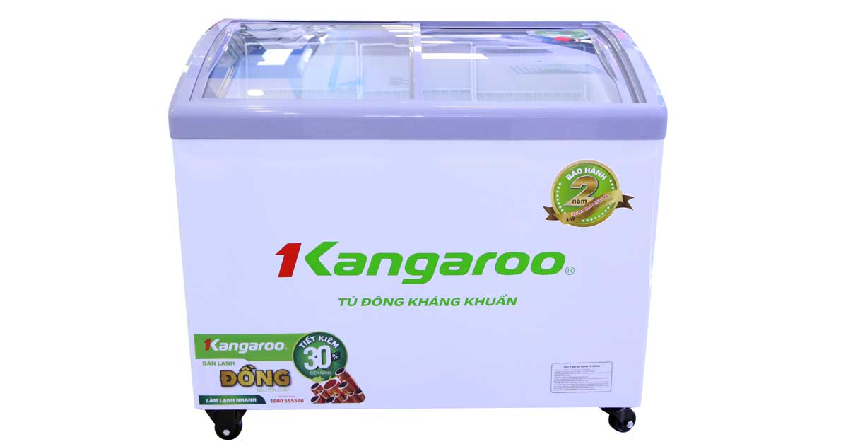 Tủ đông KANGAROO KG308C1 308 Lít 1