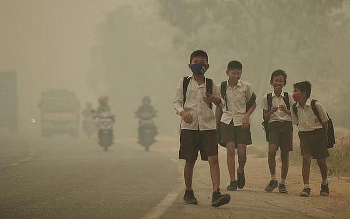 TRẺ NHỎ BỊ TÂM THẦN VÌ Ô NHIỄM KHÔNG KHÍ