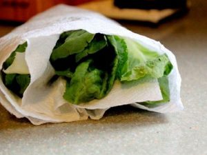 bảo quản rau củ