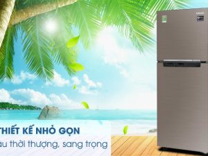 Tủ lạnh Samsung Inveter 2 cánh RT20HAR8DDX