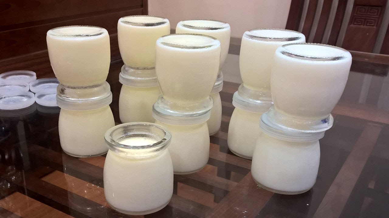 làm sữa chua Meiji