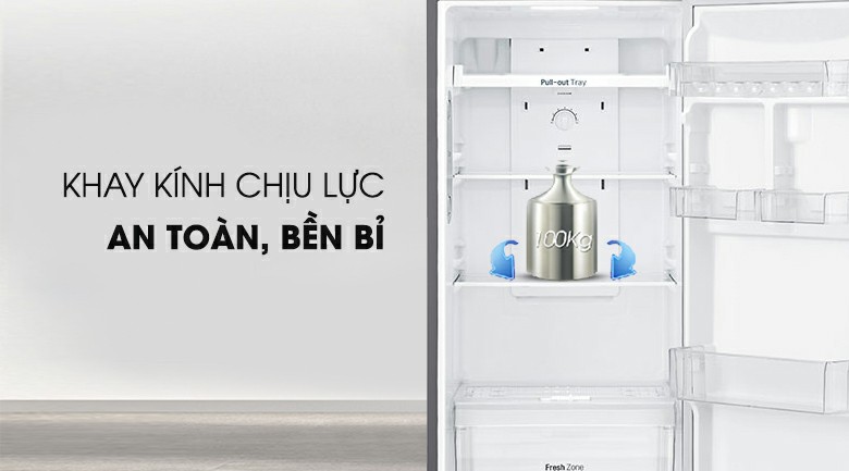 Tủ lạnh LG GN-L255PS Inverter 255 lít 10