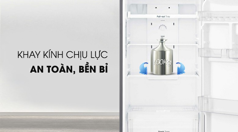 Tủ lạnh LG GN-L315PN Inverter 315 lít 10
