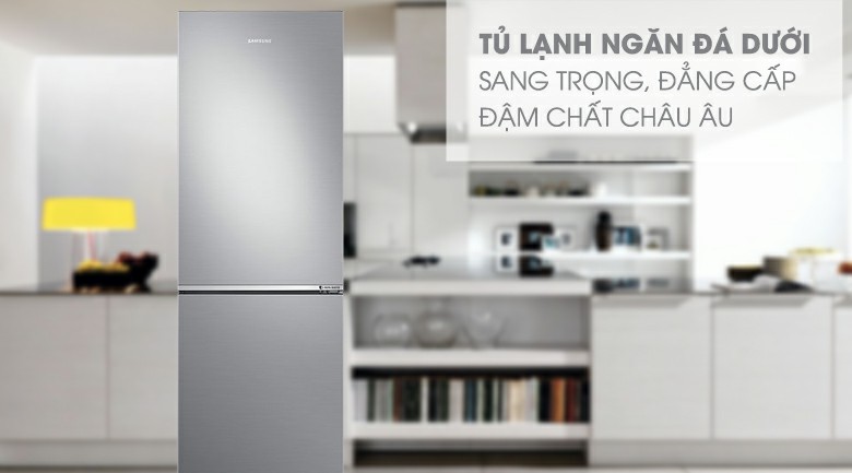 Tủ lạnh Samsung RB30N4010S8 Inverter 310 lít 1