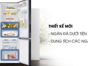 Tủ lạnh có thiết kế ngăn đá dưới