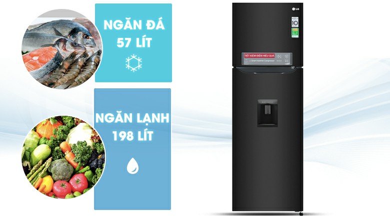 Tủ lạnh LG GN-D255BL Inverter 255 lít 3