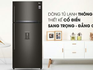 Tủ lạnh LG GN-D602BL