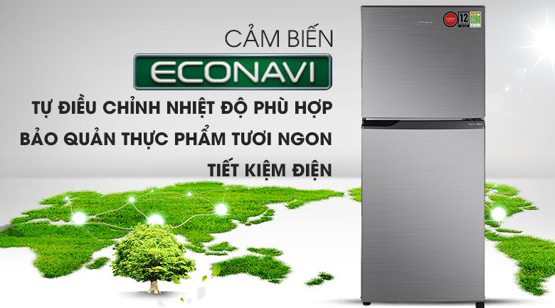 Tủ lạnh Panasonic Inverter 234 lít NR-BL26AVPVN cảm biến enconavi