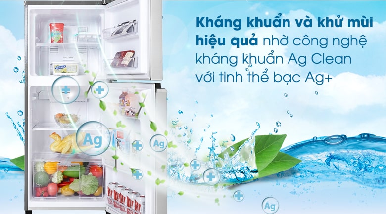 Tủ lạnh Panasonic NR-BA190PPVN Inverter 170 lít 9