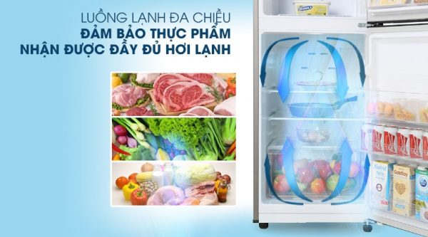 Tủ lạnh Samsung Inverter 208 lít RT20HAR8DBU 4