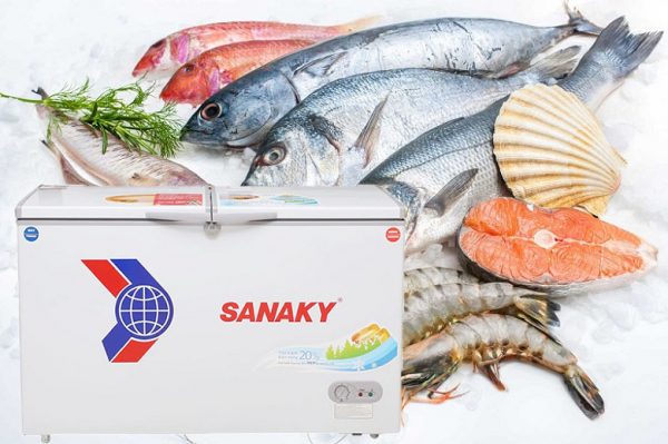 Tủ đông Sanaky 369 lít VH3699W1 7