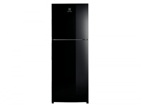 Tủ lạnh Electrolux ETB2802J-H Inverter 256L 1