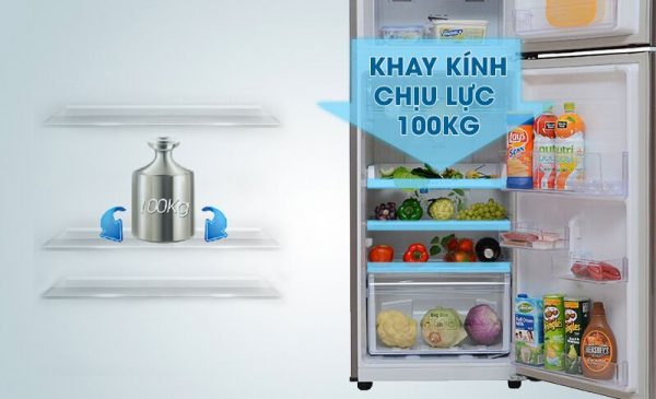 Tủ lạnh Samsung 234 lít RT22FARBDSA 19