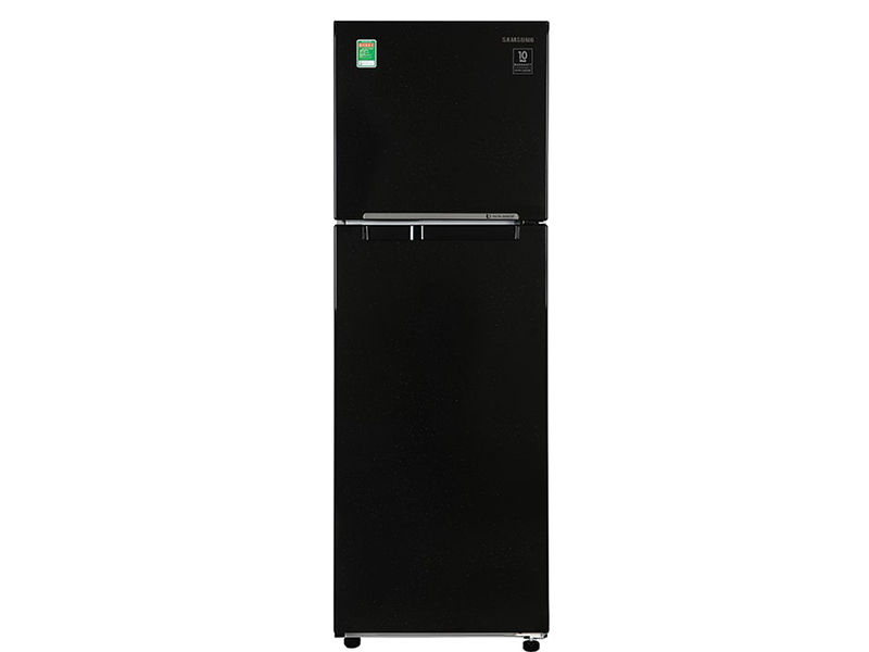 Tủ lạnh Samsung Inverter 256 lít RT25M4032BU 1