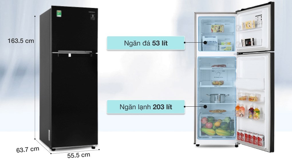 Tủ lạnh Samsung Inverter 256 lít RT25M4032BU 20