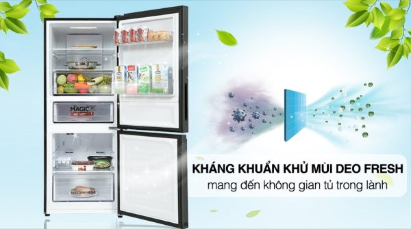 Tủ lạnh Aqua Inverter 260 Lít AQR-B306MA(HB) 17