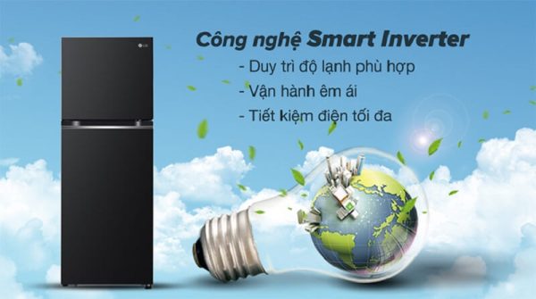 Tủ Lạnh LG Inverter 266 Lít GV-B262BL 11-min