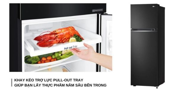 Tủ Lạnh LG Inverter 266 Lít GV-B262BL 9-min