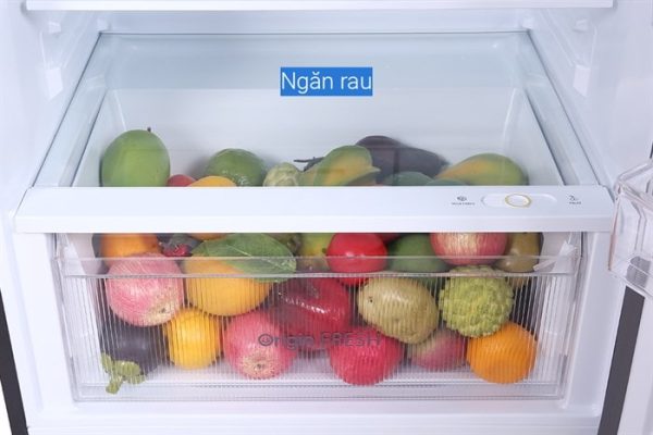 Tủ lạnh Toshiba Inverter 407 lít GR-RT535WE-PMV(06)-MG 8-min