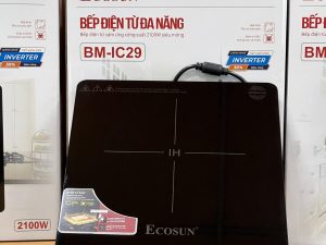 Bếp Điện Từ Cảm Ứng  Ecosun BM-IC29
