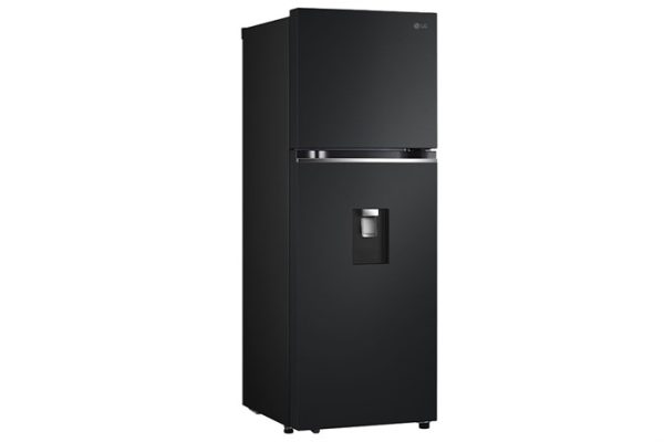 tu-lanh-lg-inverter-314-lit-ltd31blm-2-700x467