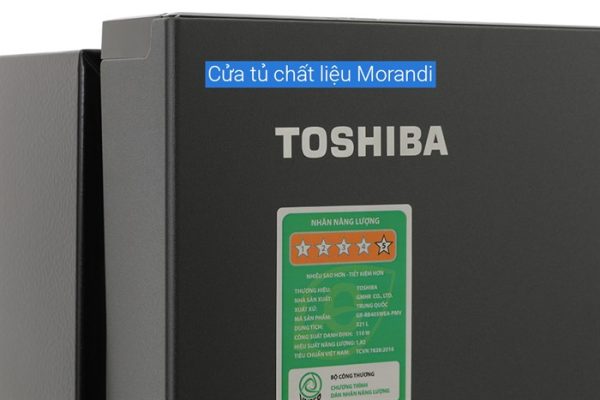 tu-lanh-toshiba-inverter-321-lit-gr-rb405wea-pmv-06-mg-19-700x467