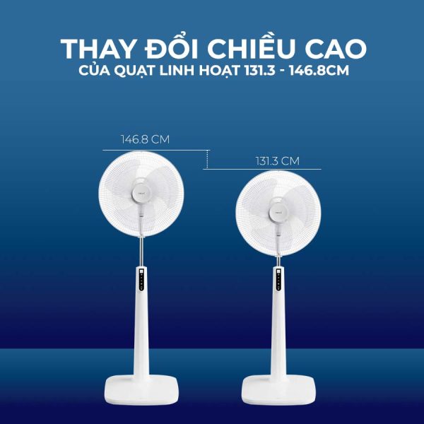 ct-quat-hatari-hf-p18r1-5